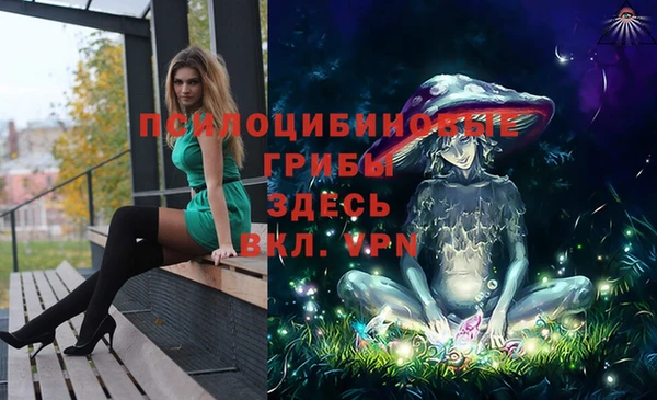 Альфа ПВП Абаза