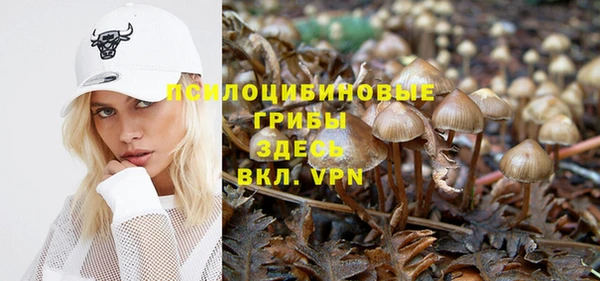 Альфа ПВП Абаза