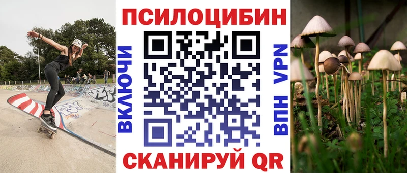 наркота Ладушкин Псилоцибиновые грибы Psilocybine cubensis