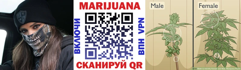 Каннабис SATIVA & INDICA  даркнет состав  Ладушкин  даркнет сайт 